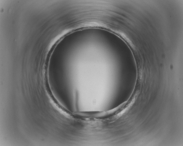 X0000066521134200603201317