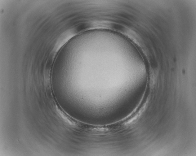 X0000066521137200603201317