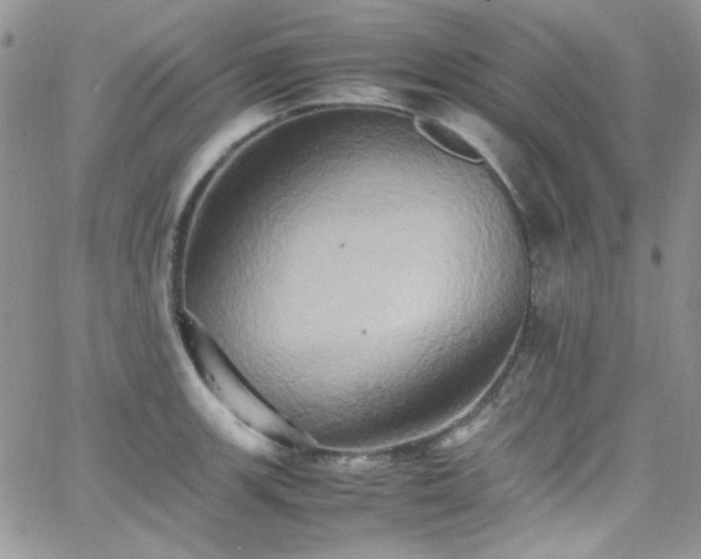 X0000066521139200603201317