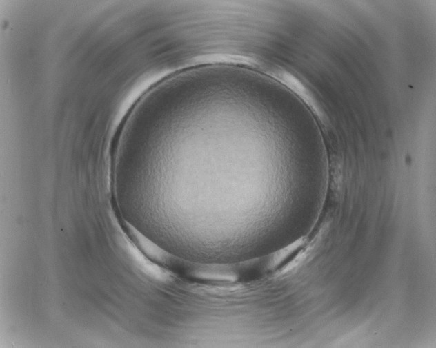 X0000066521140200603201317