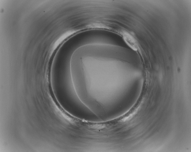 X0000066521141200603201317