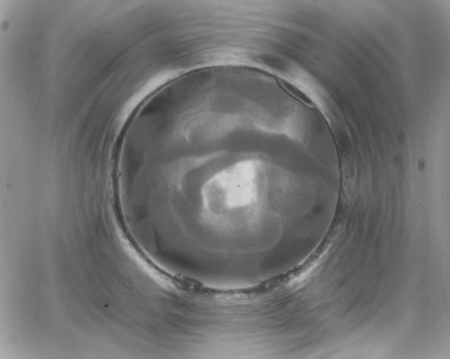 X0000066521142200603201317