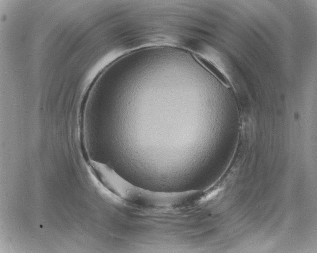 X0000066521143200603201317