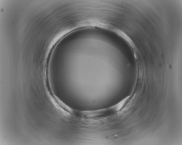 X0000066521144200603201317