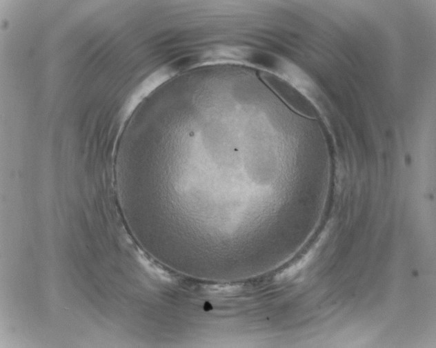 X0000066521145200603201317