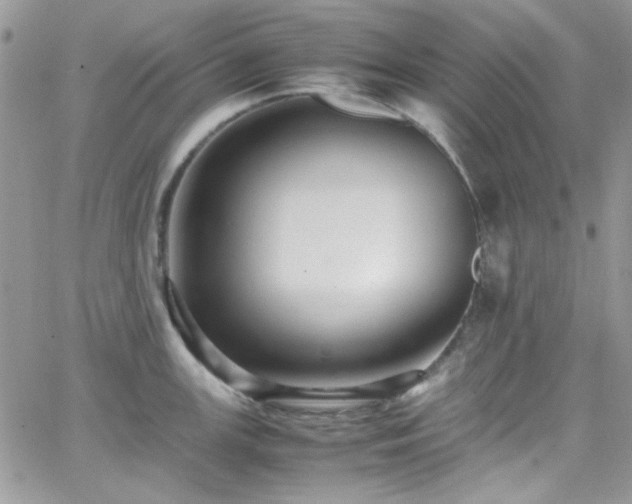 X0000066521147200603201317