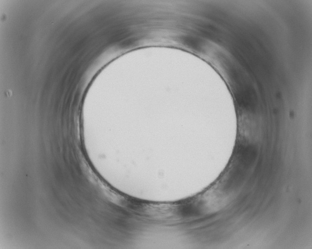 X0000066521150200603201317