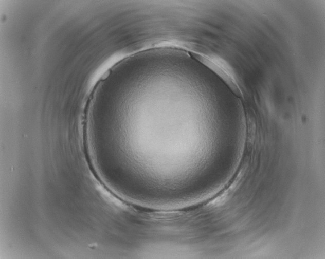 X0000066521151200603201317