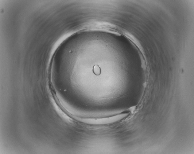 X0000066521152200603201317