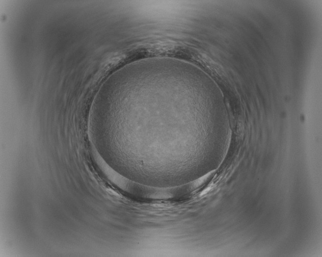 X0000066521153200603201316