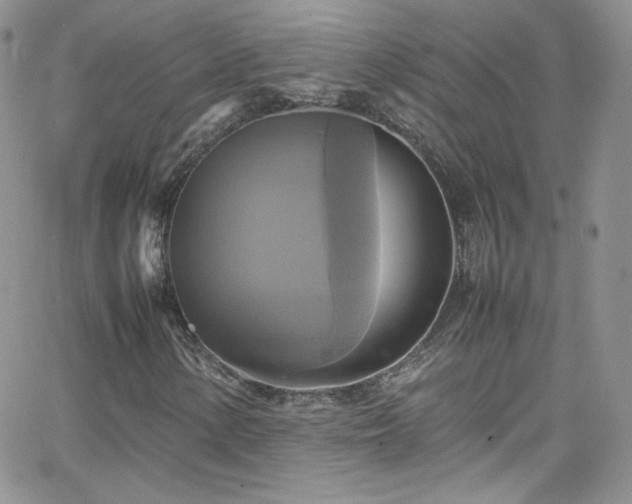 X0000066521154200603201316