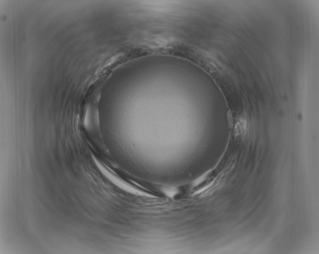 X0000066521156200603201316