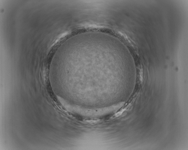 X0000066521157200603201316