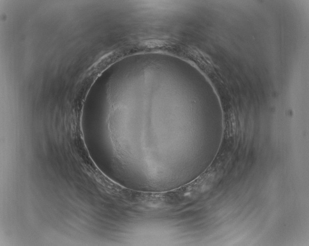 X0000066521158200603201316