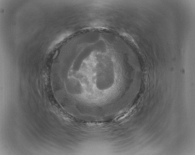 X0000066521159200603201316