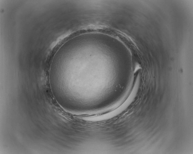 X0000066521160200603201316