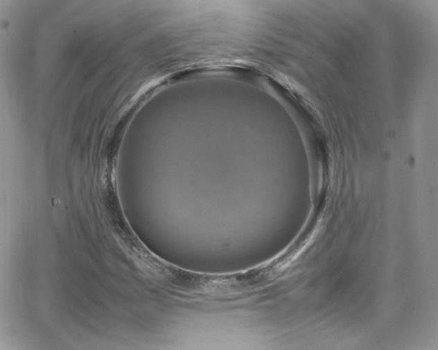 X0000066521161200603201316