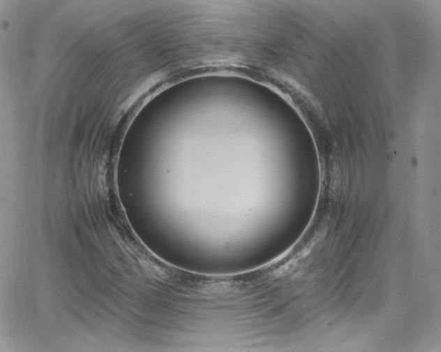 X0000066521162200603201316