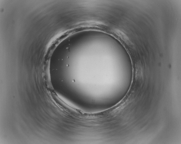 X0000066521164200603201316