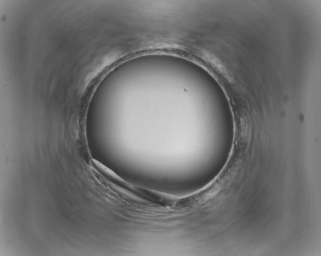 X0000066521165200603201316