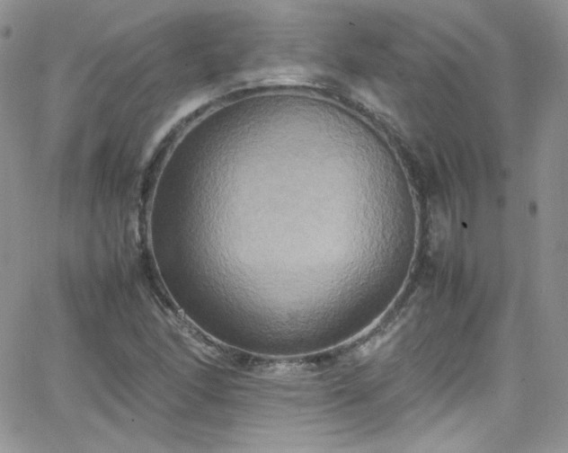 X0000066521166200603201316