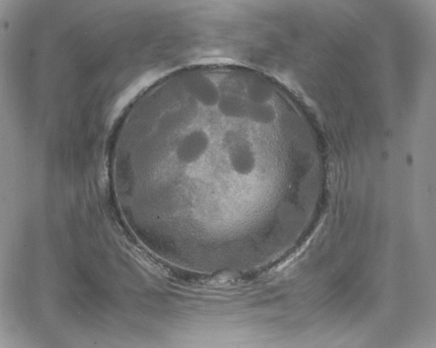 X0000066521167200603201316