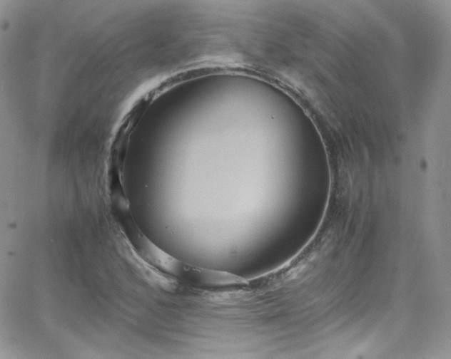 X0000066521168200603201316