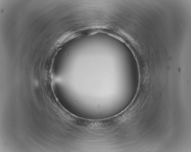 X0000066521169200603201316