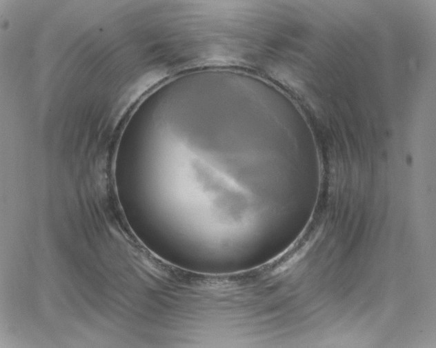 X0000066521170200603201316