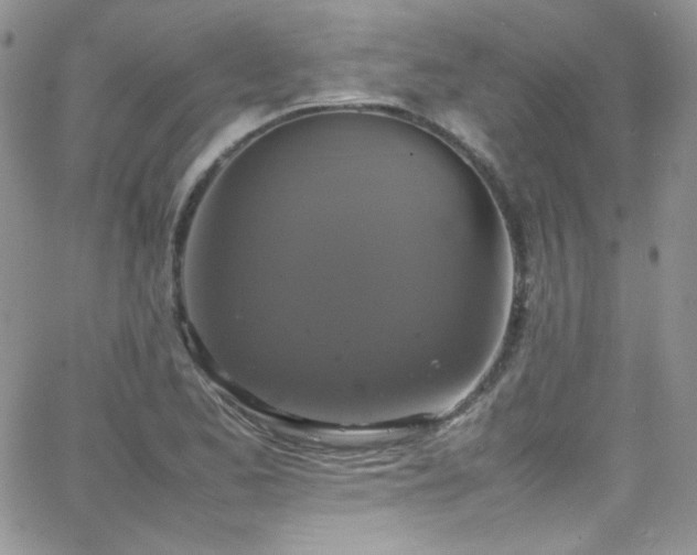 X0000066521173200603201316