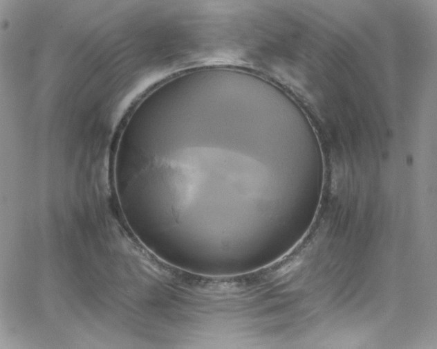 X0000066521174200603201316