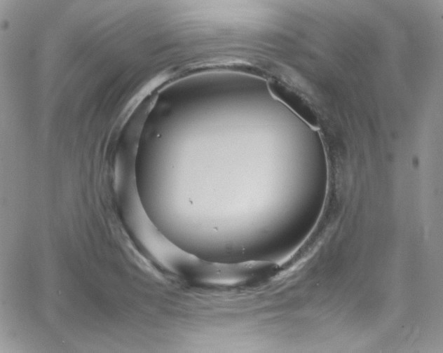 X0000066521177200603201316