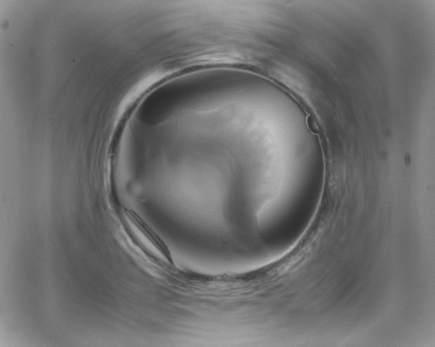 X0000066521179200603201316