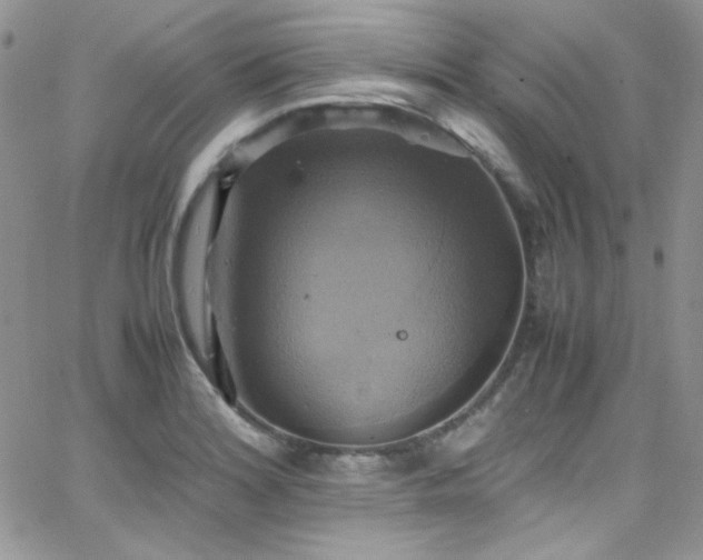 X0000066521180200603201316