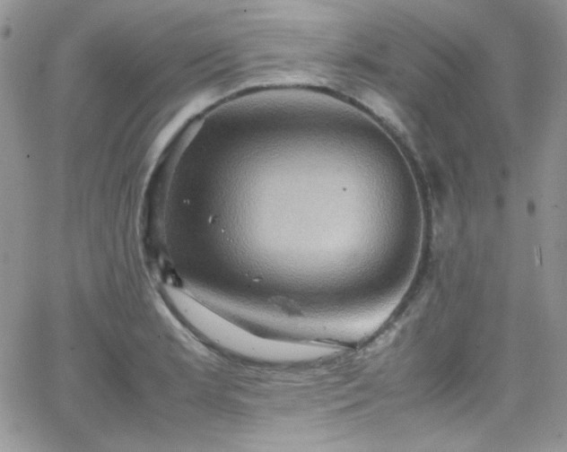 X0000066521181200603201316