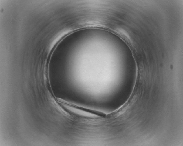 X0000066521182200603201316