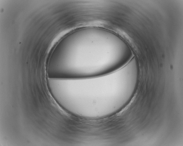 X0000066521184200603201316