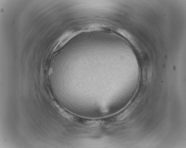 X0000066521185200603201316