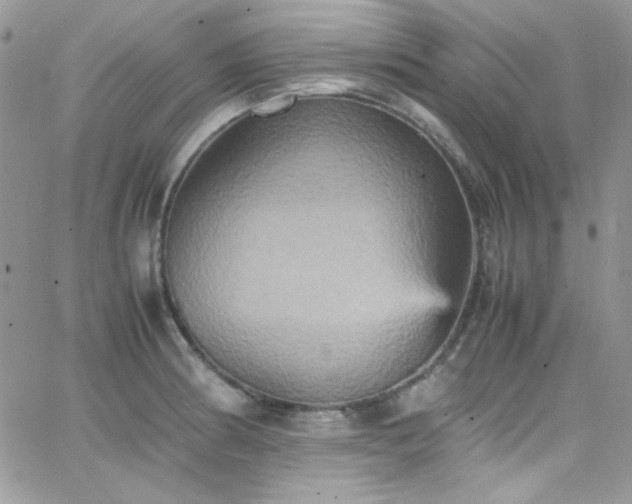 X0000066521186200603201316