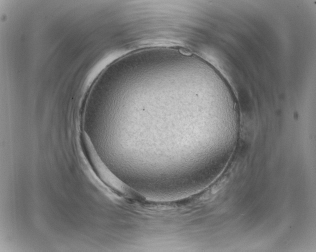 X0000066521187200603201316