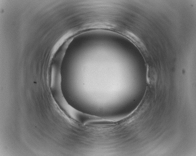 X0000066521188200603201316