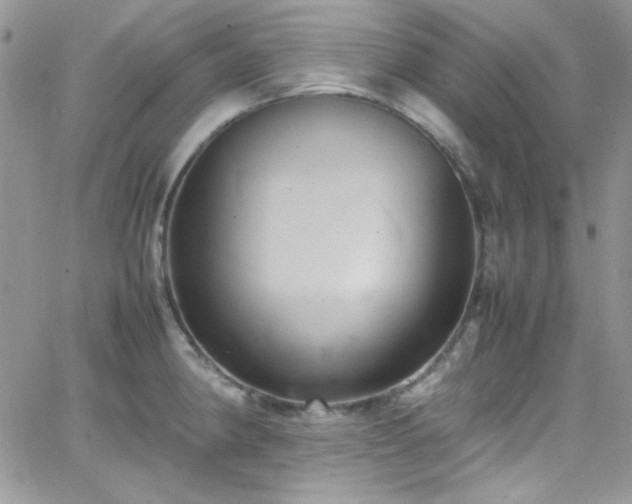 X0000066521190200603201316