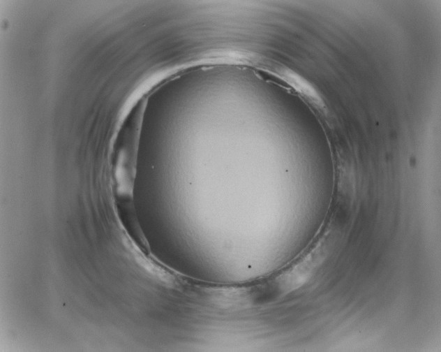 X0000066521192200603201316