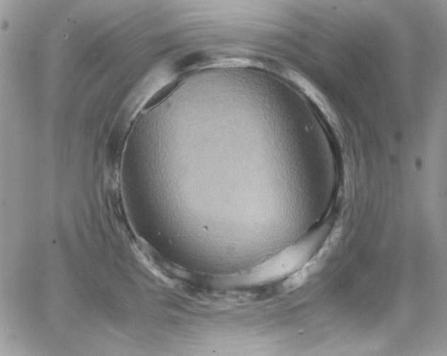 X0000066521193200603201316