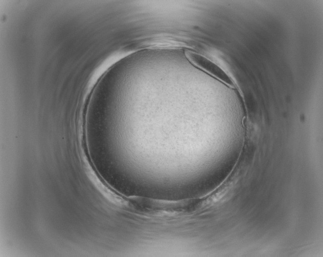 X0000066521195200603201315