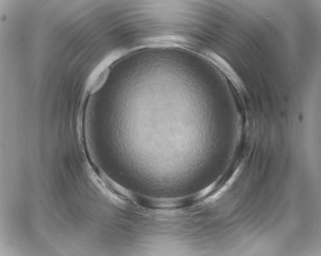 X0000066521196200603201315