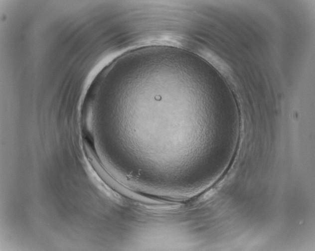 X0000066521200200603201315