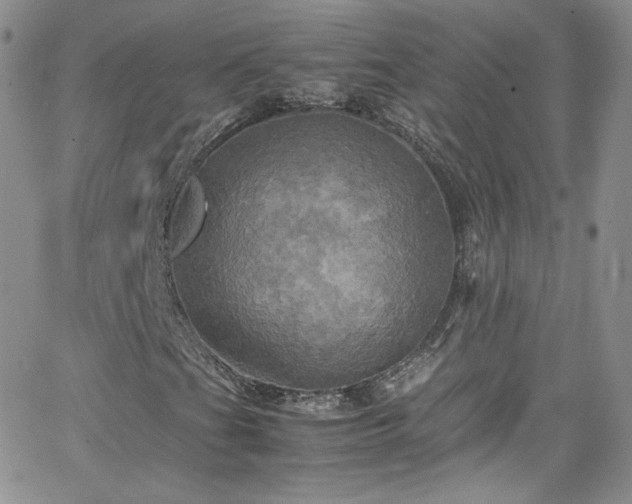 X0000066521201200603201315