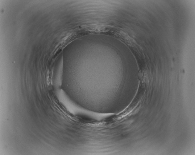 X0000066521202200603201315