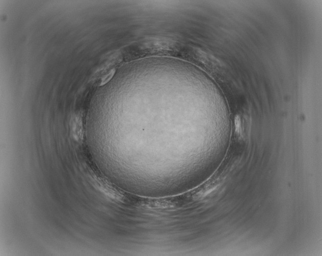 X0000066521203200603201315